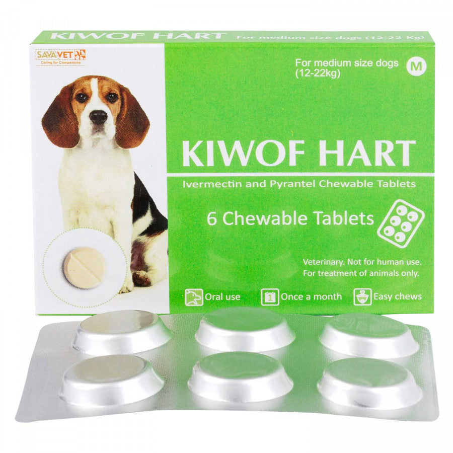 キウォフハートとフロントラインプラス中型犬用