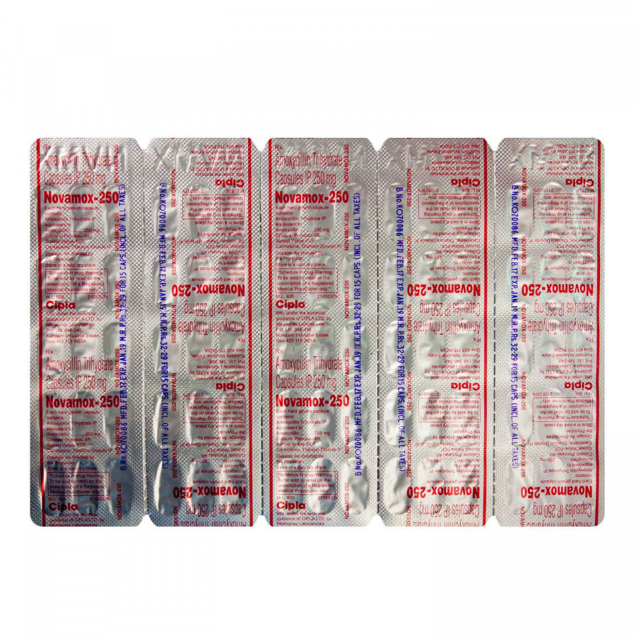 ノバモックス250mg(アモキシシリンジェネリック)