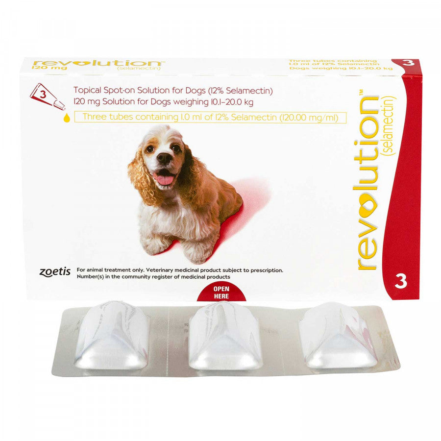 レボリューション中型犬用