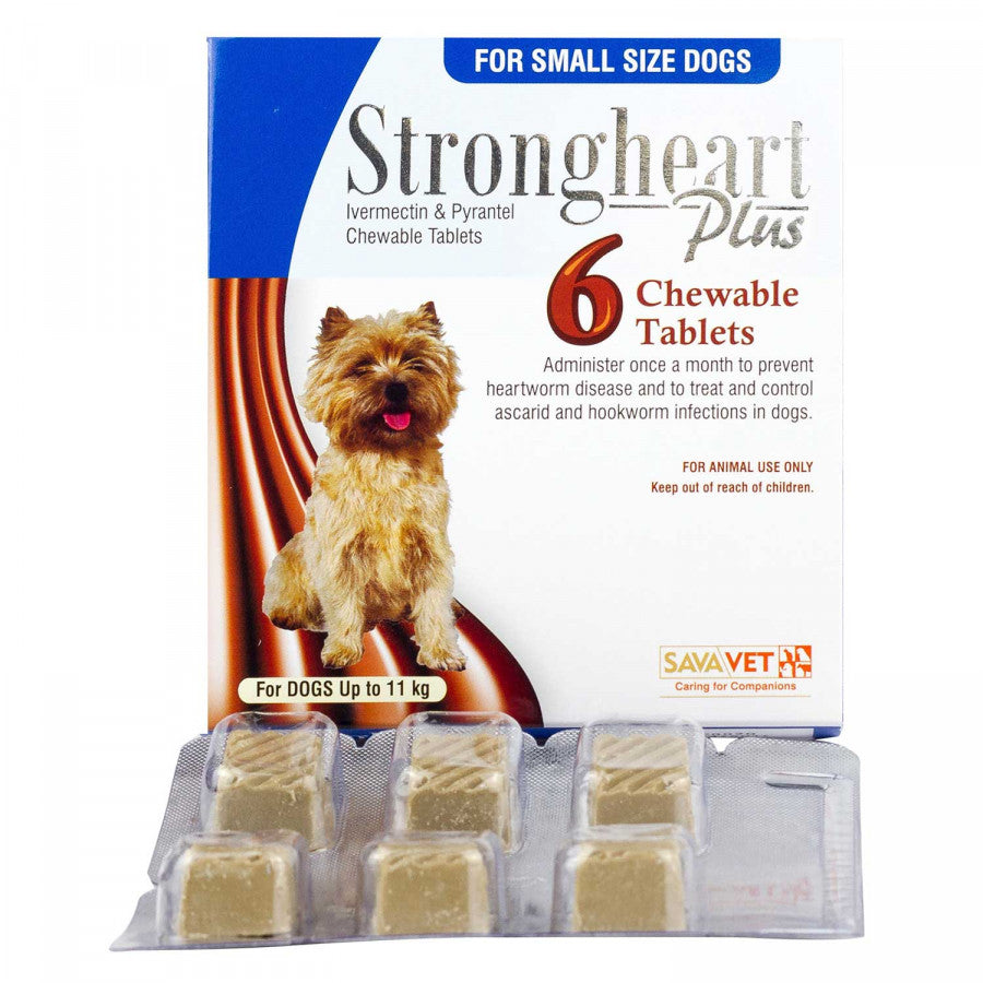 ストロングハートプラス・チュアブル小型犬用