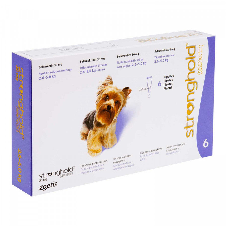 ストロングホールド超小型犬用6本(レボリューション欧州版)