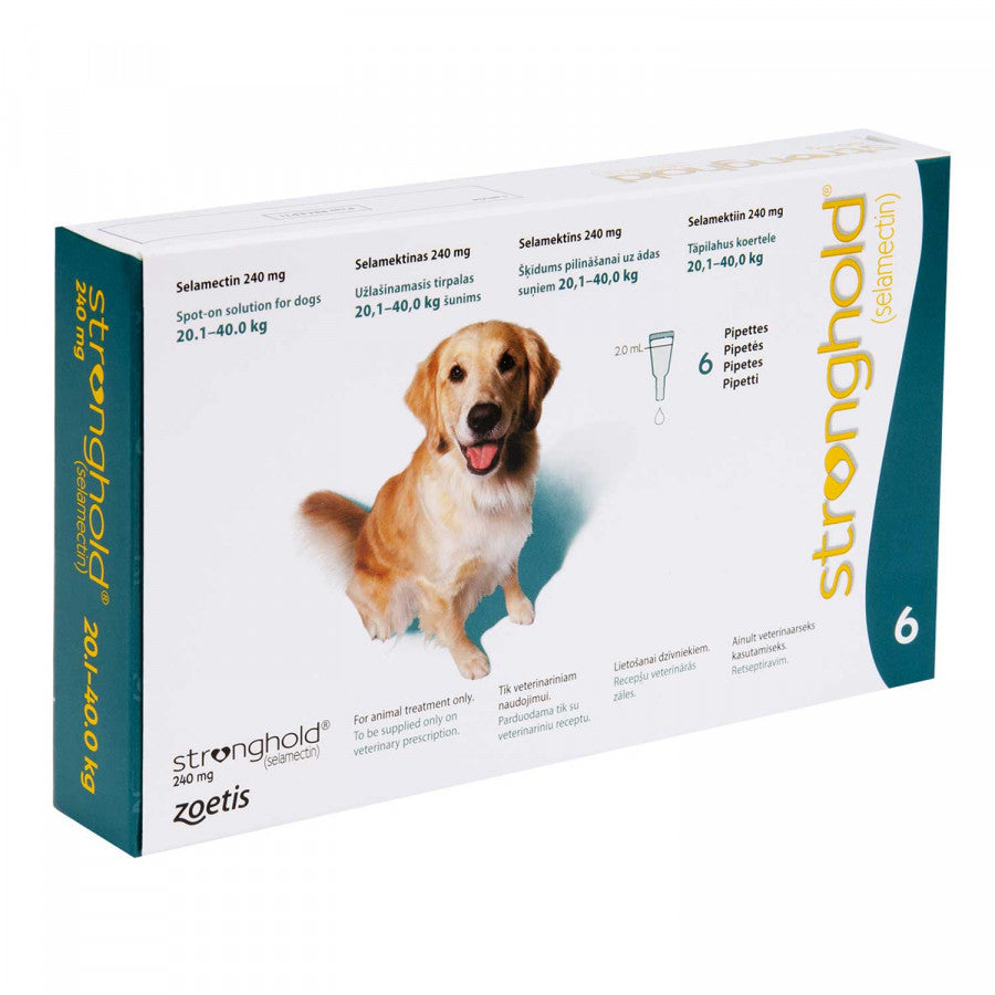 ストロングホールド大型犬用6本(レボリューション欧州版)