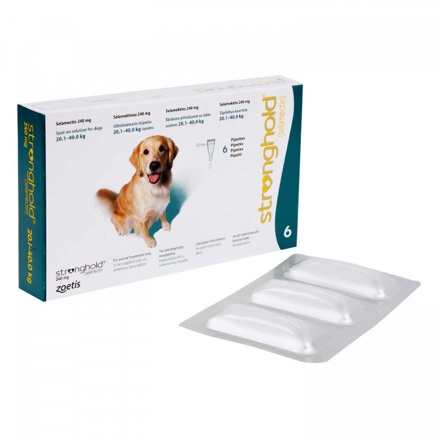 ストロングホールド大型犬用6本(レボリューション欧州版)