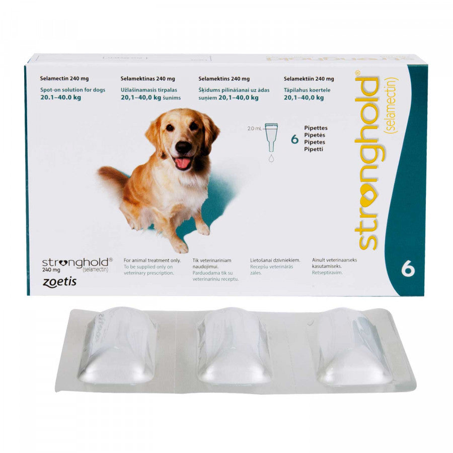 ストロングホールド大型犬用6本(レボリューション欧州版)