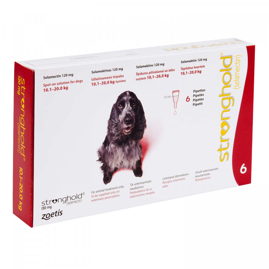ストロングホールド中型犬用6本(レボリューション欧州版)