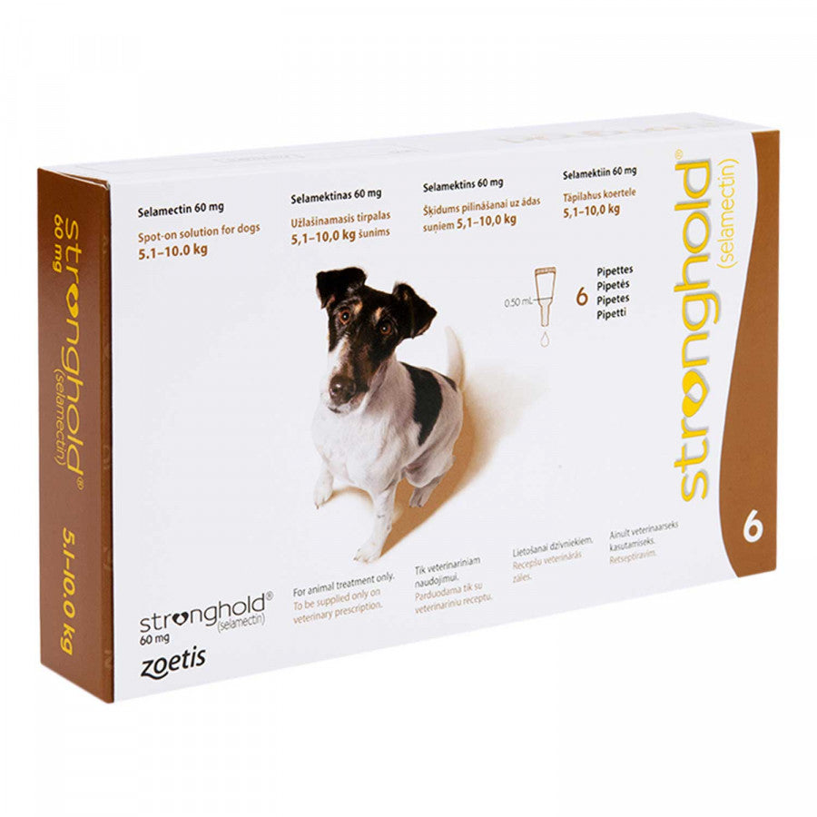 ストロングホールド小型犬用6本(レボリューション欧州版)