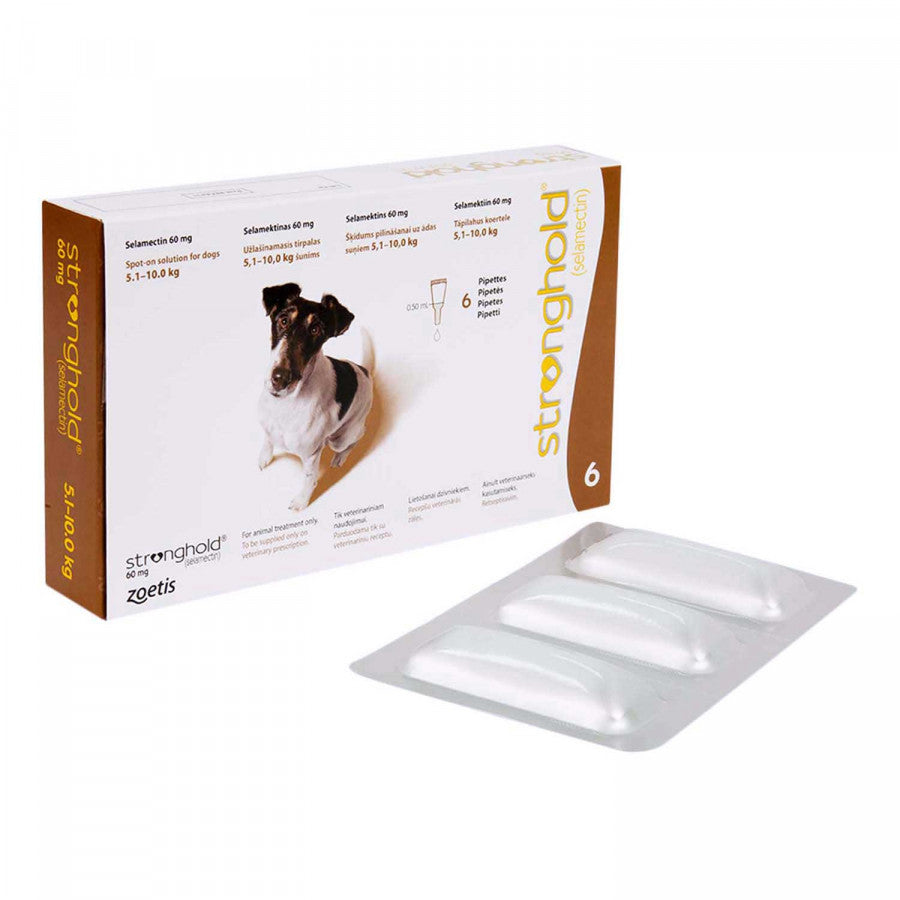 ストロングホールド小型犬用6本(レボリューション欧州版)