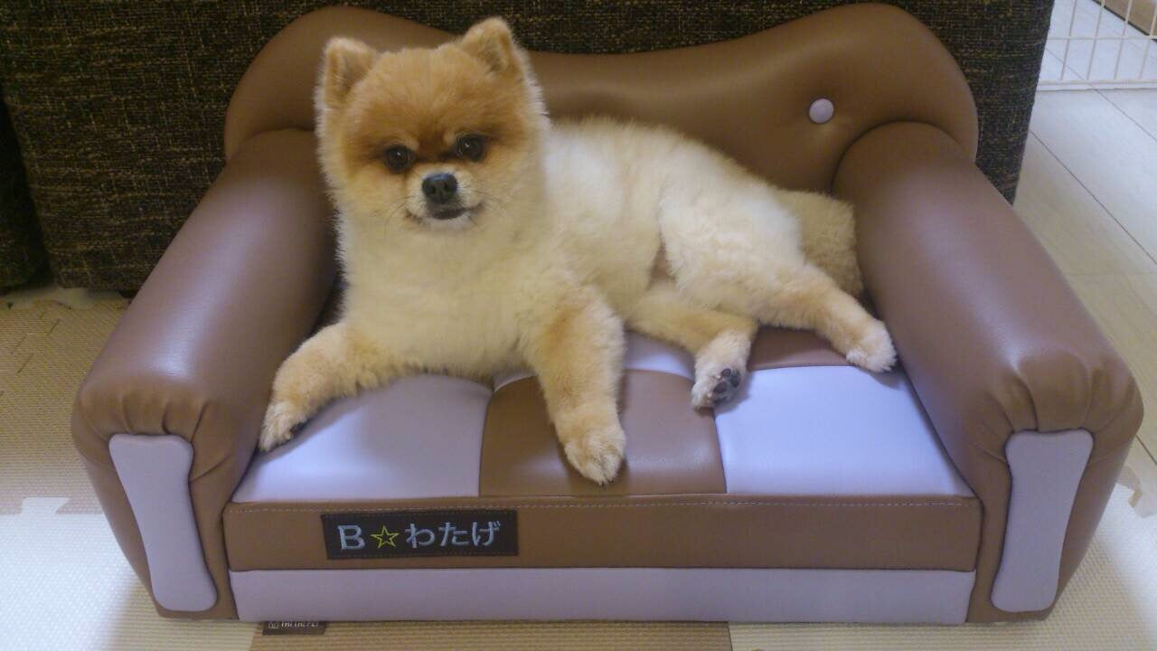 Chianti mini(キャンティ ミニ)