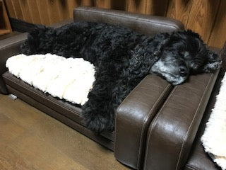 Soleil(ソレイユ)