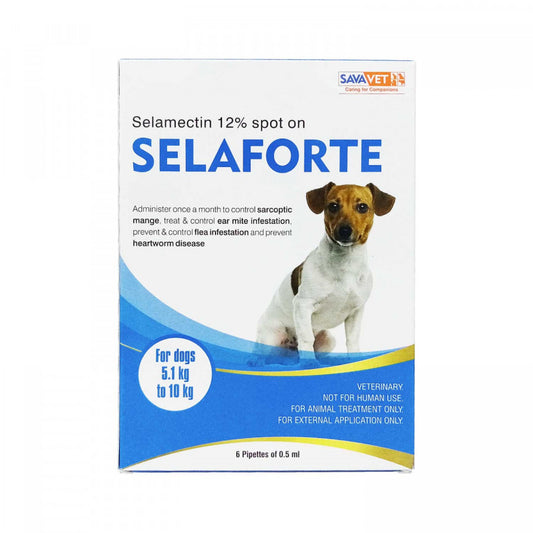 セラフォーテ小型犬用6本入り(レボリューションジェネリック)