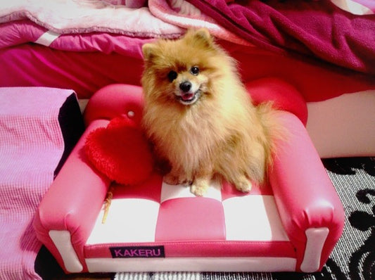 Chianti(キャンティ)