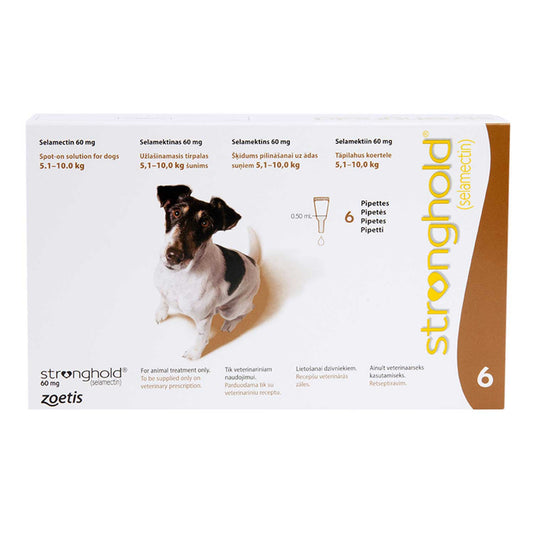 ストロングホールド小型犬用6本(レボリューション欧州版)